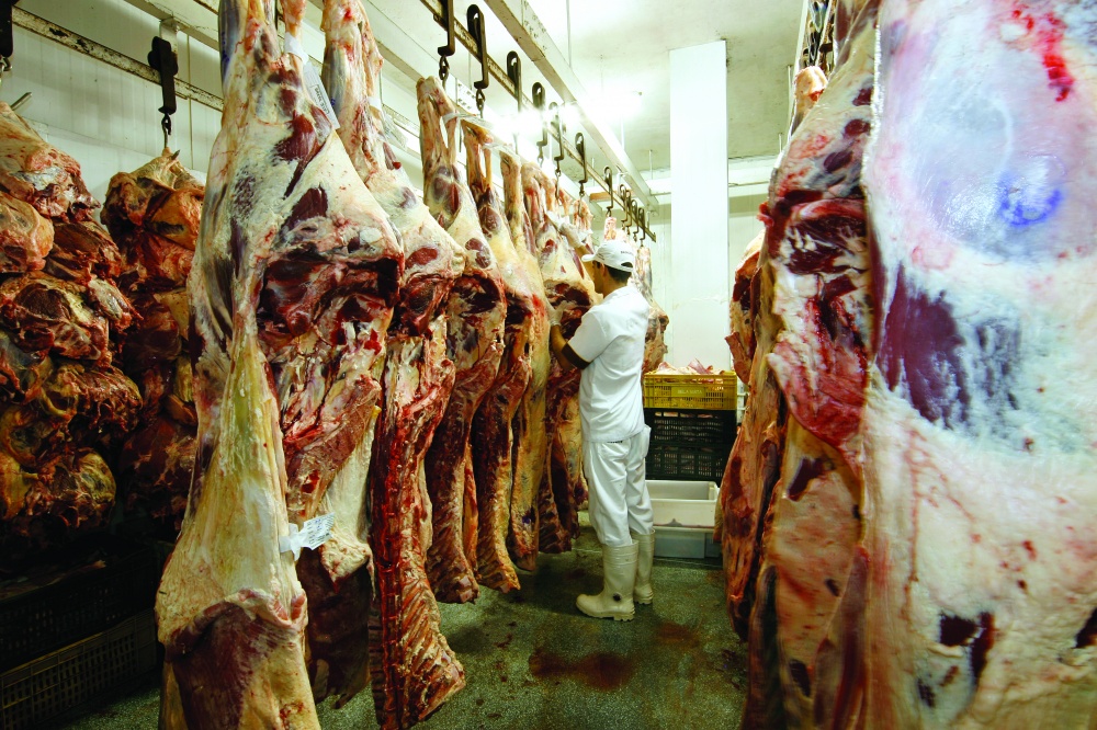 Melhoramento assume papel fundamental num momento em que o mercado busca agilidade |