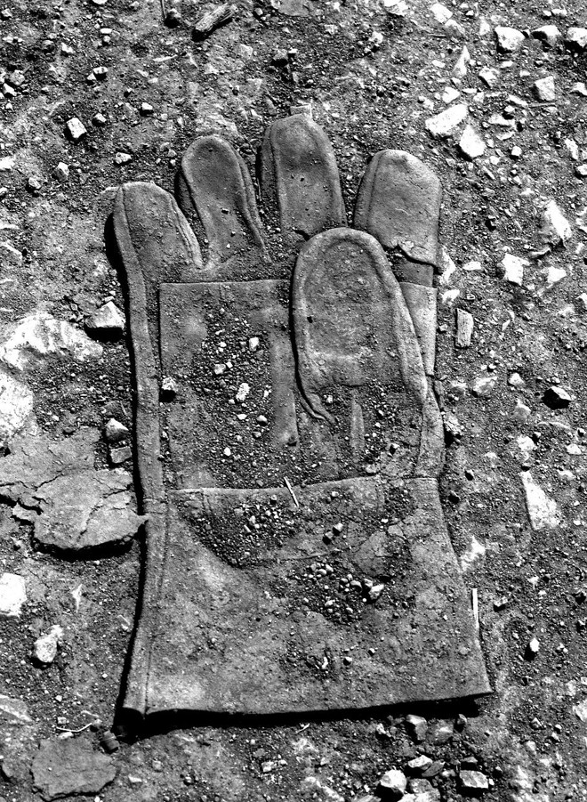  | João Urban/Reprodução