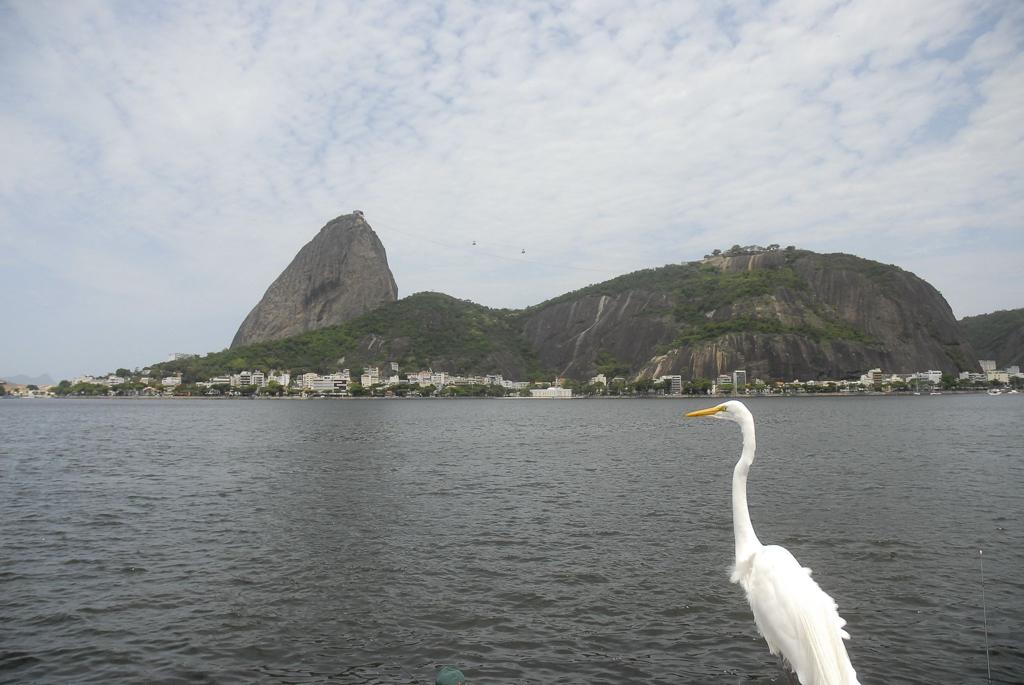 Palco da vela nos Jogos Olímpicos, a Baía de Guanabara tem sido alvo de críticas por causa da poluição. | Agência Brasil