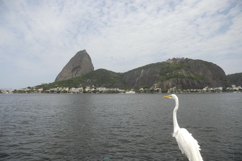Palco da vela nos Jogos Olímpicos, a Baía de Guanabara tem sido alvo de críticas por causa da poluição. | Agência Brasil