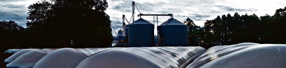 Puxado pela soja, que soma mais de 9 milhões de toneladas, com milho e trigo, o Paraguai já produz mais de 14 milhões de toneladas de grãos. |