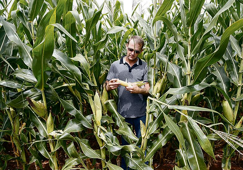 José Delmar: lucro só vem com boa produtividade. |