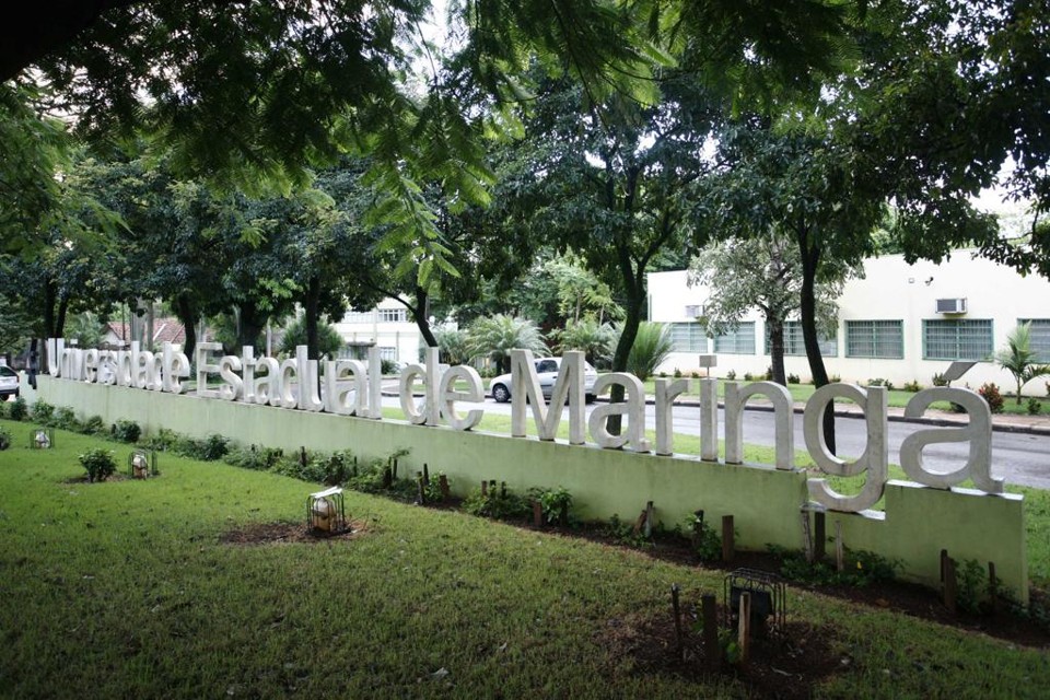 Universidade Estadual de Maringá paga até R$ 9,6 mil a docentes. | Ivan Amorin
/Gazeta do Povo