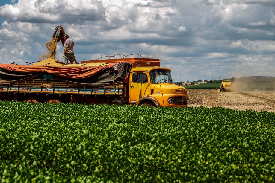 Colheita da oleaginosa surpreende em ano de irregularidade no clima e atinge 94 milhões de toneladas. |