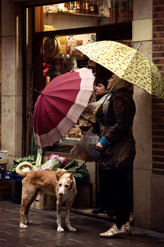 | Fritz Jr./Divulgação