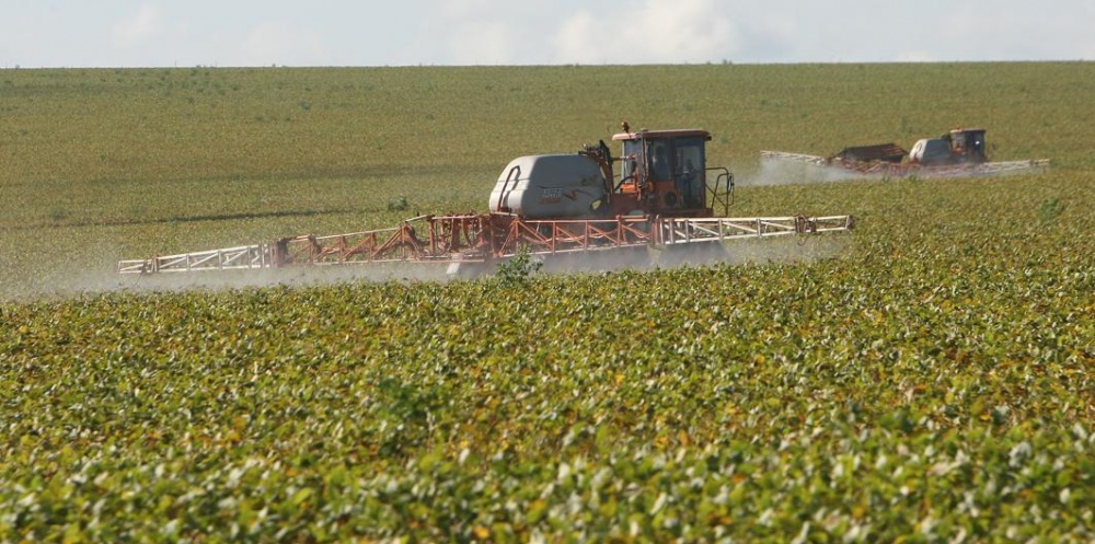 | Jonathan Campos / Gazeta Do Povo