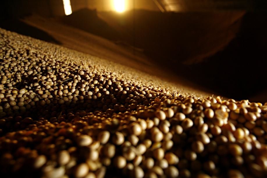 Estatal mantém estrutura de armazéns e escritórios espalhados pelo país. | Foto: Josua© Teixeira/gazeta Do Povo