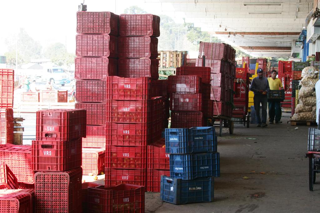 Ceasa em Curitiba: órgão tem 18 vagas abertas. | Daniel Castellano/Gazeta do Povo