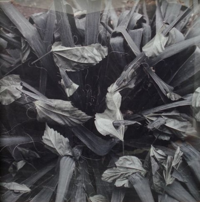  | Juliana Stein/Reprodução