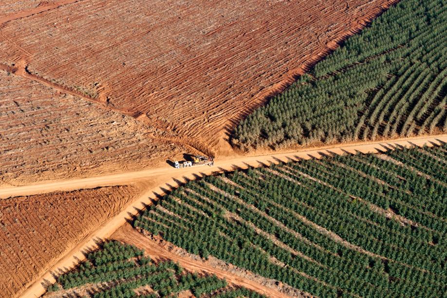 Regularização de áreas no Cadastro Ambiental Rural deve ser feita até o dia 05 de maio de 2015. | Henry Milla©o / Gazeta Do Povo
