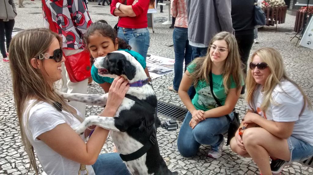 Ativistas reunidos na Boca Maldita em prol da defesa dos direitos dos animais | Antonio More/Gazeta do Povo