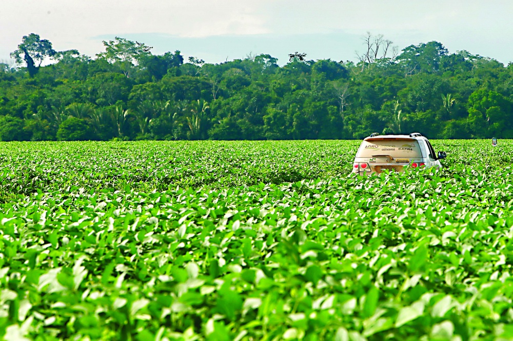 Expedição consolida os dados da temporada 2014/15 com a incursão à Argentina e Uruguai |
