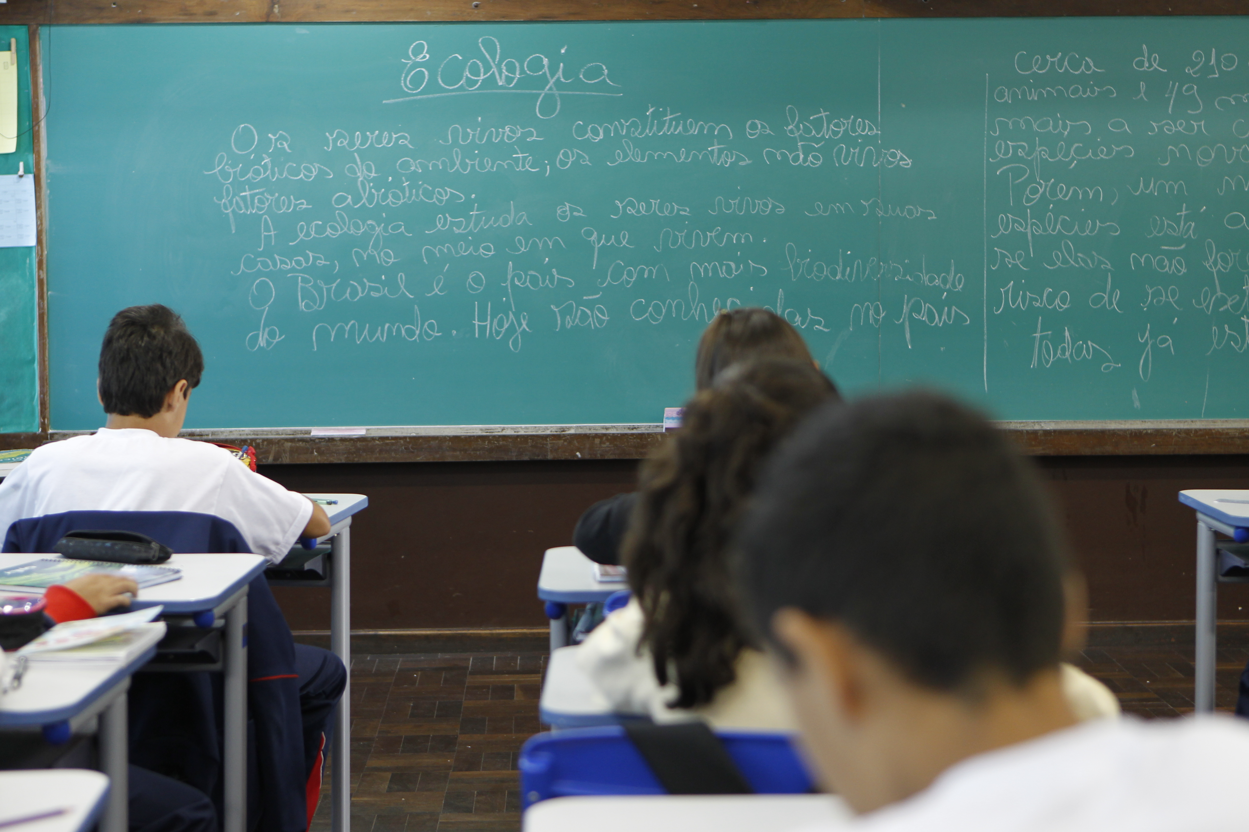 De acordo com Renato Meirelles, presidente do Instituto Data Popular, cada ano de estudo representa 15% a mais no salário médio das pessoas até a universidade | Jonathan Campos/Gazeta do Povo