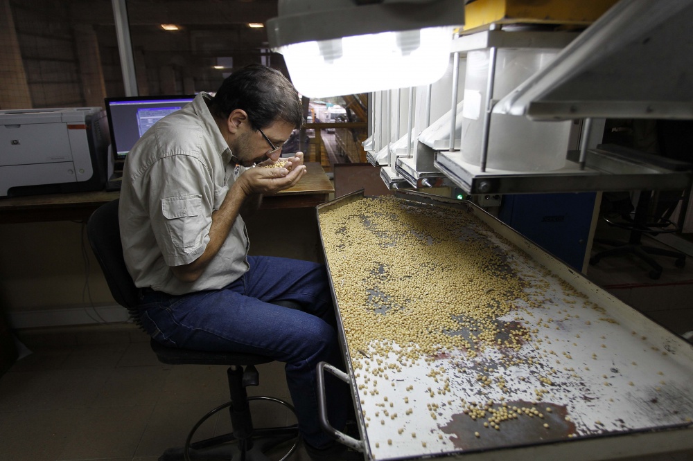 Perito analisa soja nova que chega ao Porto de San Lorenzo, na região de Rosário. Além de volumosa, produção é considerada de boa qualidade. | Fotos: Jonathan Campos/gazeta Do Povo