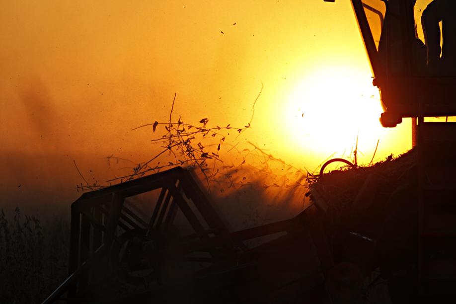 Colheita chega a 35% com marca de 3,8 t por hectare de soja. | Jonathan Campos / Gazeta Do Povo