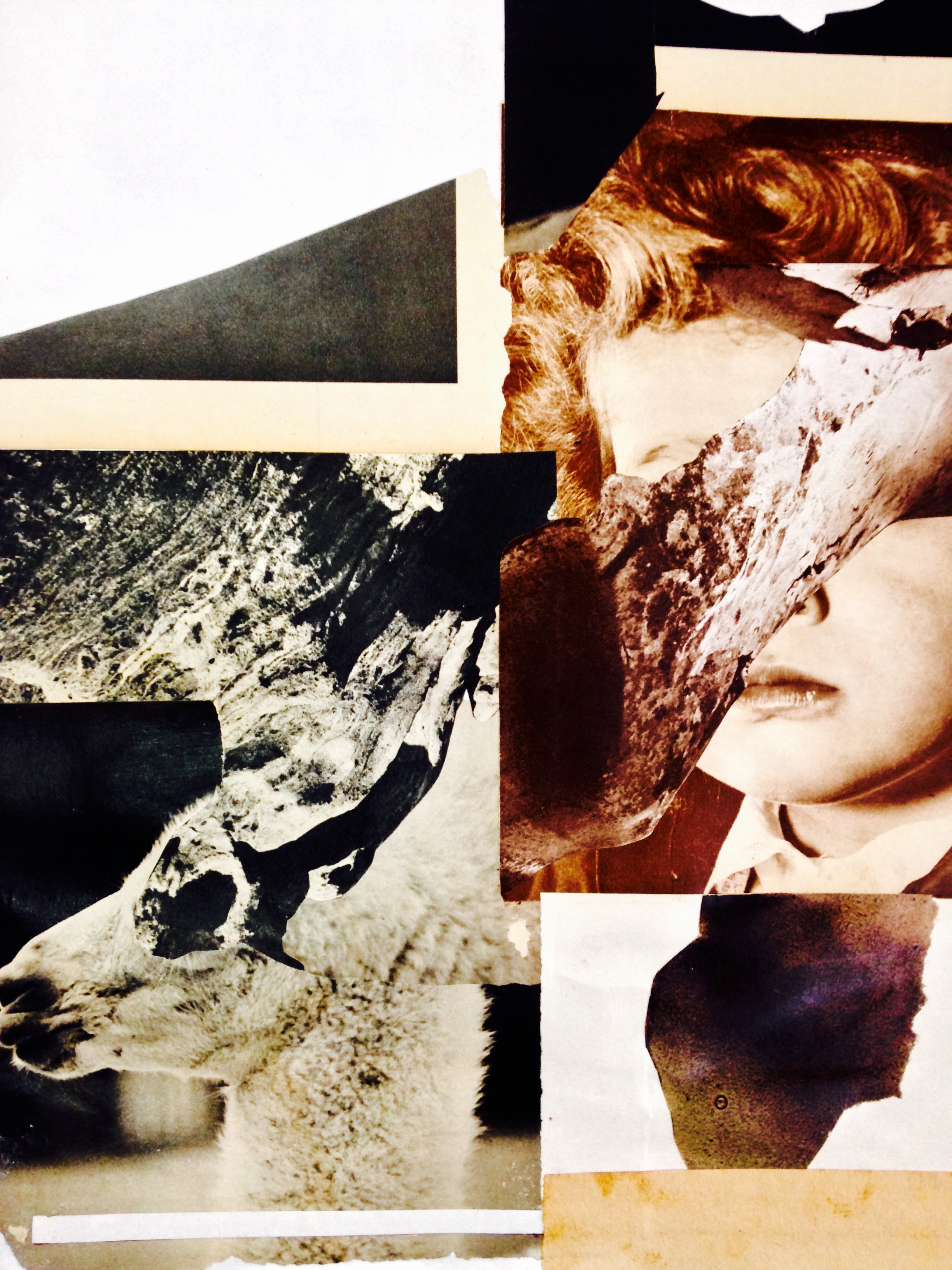 | Miguel Nicolau/Especial para a Gazeta do Povo