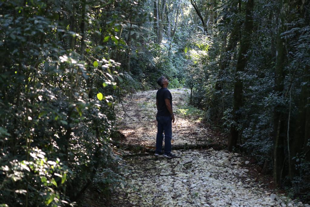 O empresário Marcelo Santana é proprietário de seis das 15 reservas particulares existentes em Curitiba. | Ivonaldo Alexandre/Gazeta do Povo