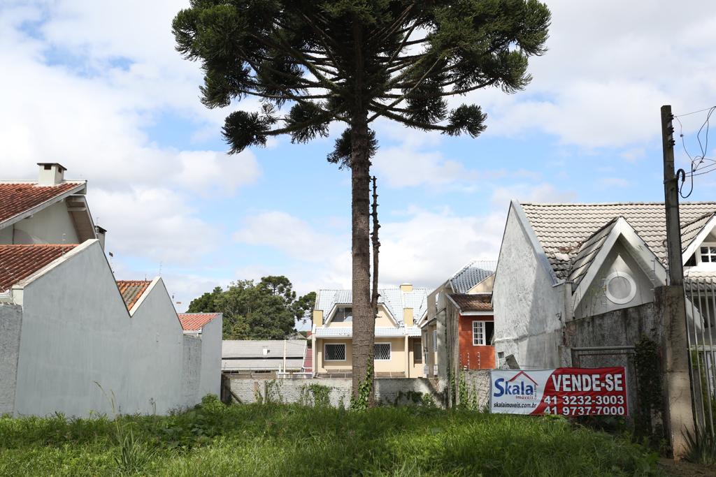 | Ivonaldo Alexandre/Gazeta do Povo