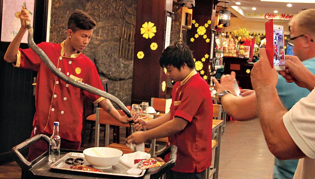 Garçons extraem coração de cobra viva no Vietnã; ainda que seja ilegal, animais silvestres estão no cardápio de restaurantes | Rachel Nuwer /The New York Times