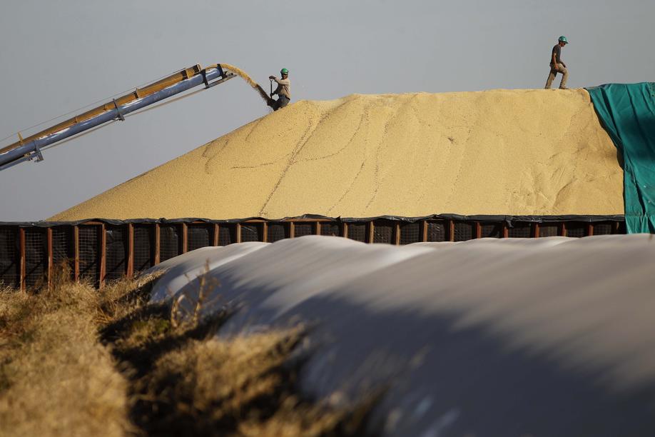 Trabalhadores da Cooperativa Monje enchem “cela australiana” de soja na região de Rosário: produção será escoada aos poucos diante de preços um terço abaixo dos praticados um ano atrás. | Jonathan Campos / Gazeta Do Povo