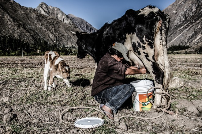 | Mana Gollo/Divulgação