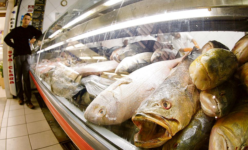 Segundo a legislação, apenas três espécies podem ser consideradas bacalhau; o resto é peixe salgado | Hugo Harada/Arquivo/Gazeta do Povo