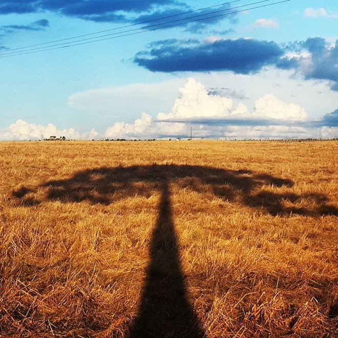 A sombra da Araucária na foto feita pela @efrann na cidade de e enviada #japragazeta . | 