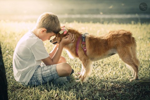 Exposição traz crianças com seus pets; veja fotos Os 20 ensaios produzidos retrataram a interação das crianças com seus animais de estimação. | Cristina Nadalin/Divulgação
