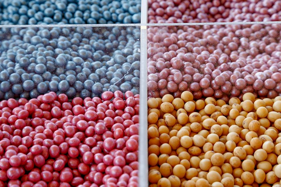 Refúgio e rotação ajudam a prolongar funcionalidade das tecnologias. |