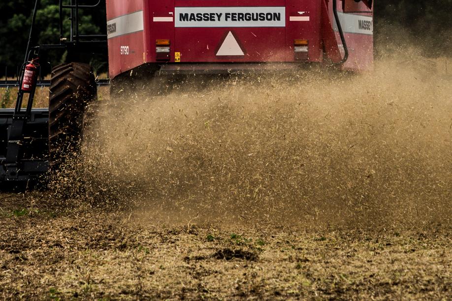 Soja vai render recorde de 95,1 milhões de toneladas em 2014/15, diz Conab. | Brunno Covello / Gazeta Do Povo