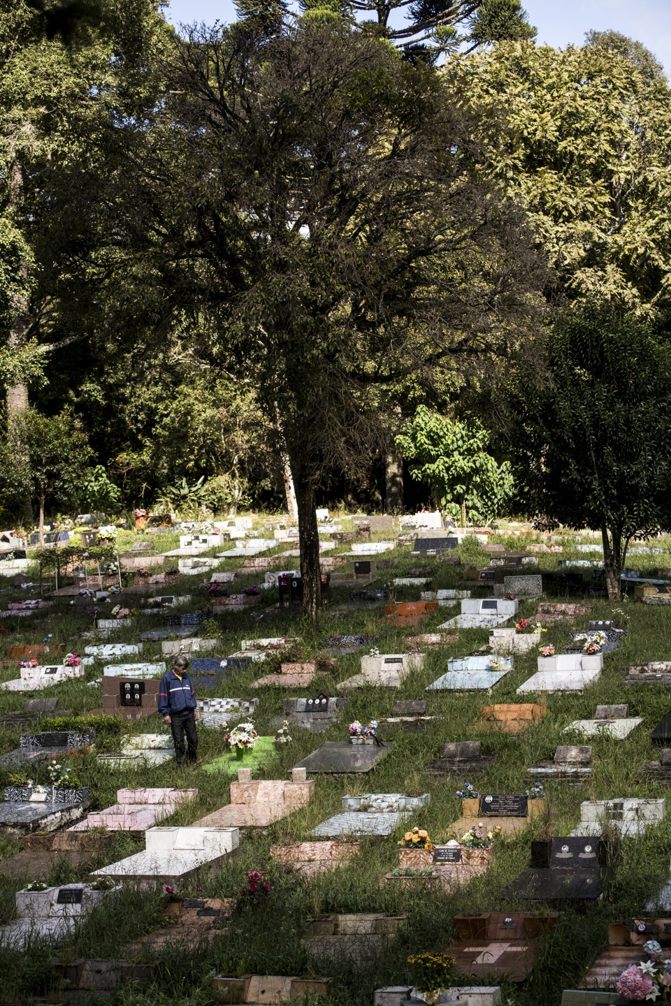 Alceu no Cemitério Santa Cândida, onde Glorinha está enterrada. | Brunno Covello/Gazeta do Povo