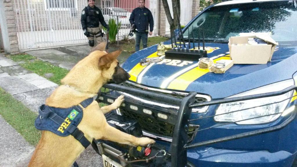 Duas pessoas foram presas durante a operação neste domingo (31), em Curitiba e região metropolitana | Divulgação/PRF