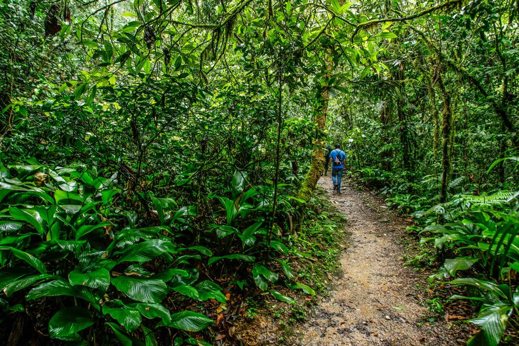| Daniel Castellano/Gazeta do Povo