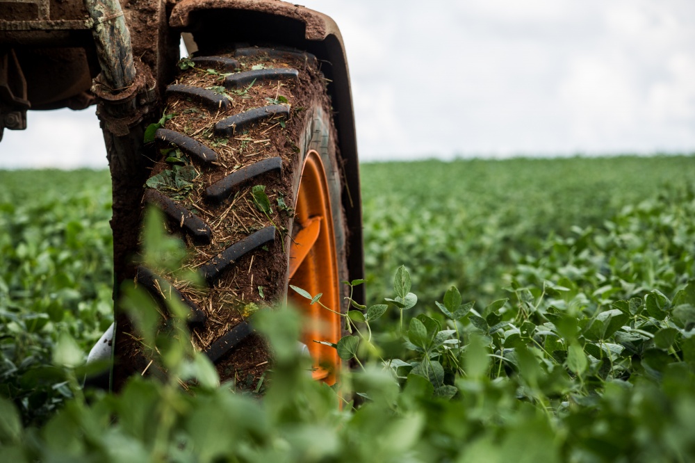 Agricultores capitalizados dispensam empréstimos e "atolados em dívidas" têm acesso restrito ao crédito rural. | Foto: Brunno Covello/gazeta Do Povo
