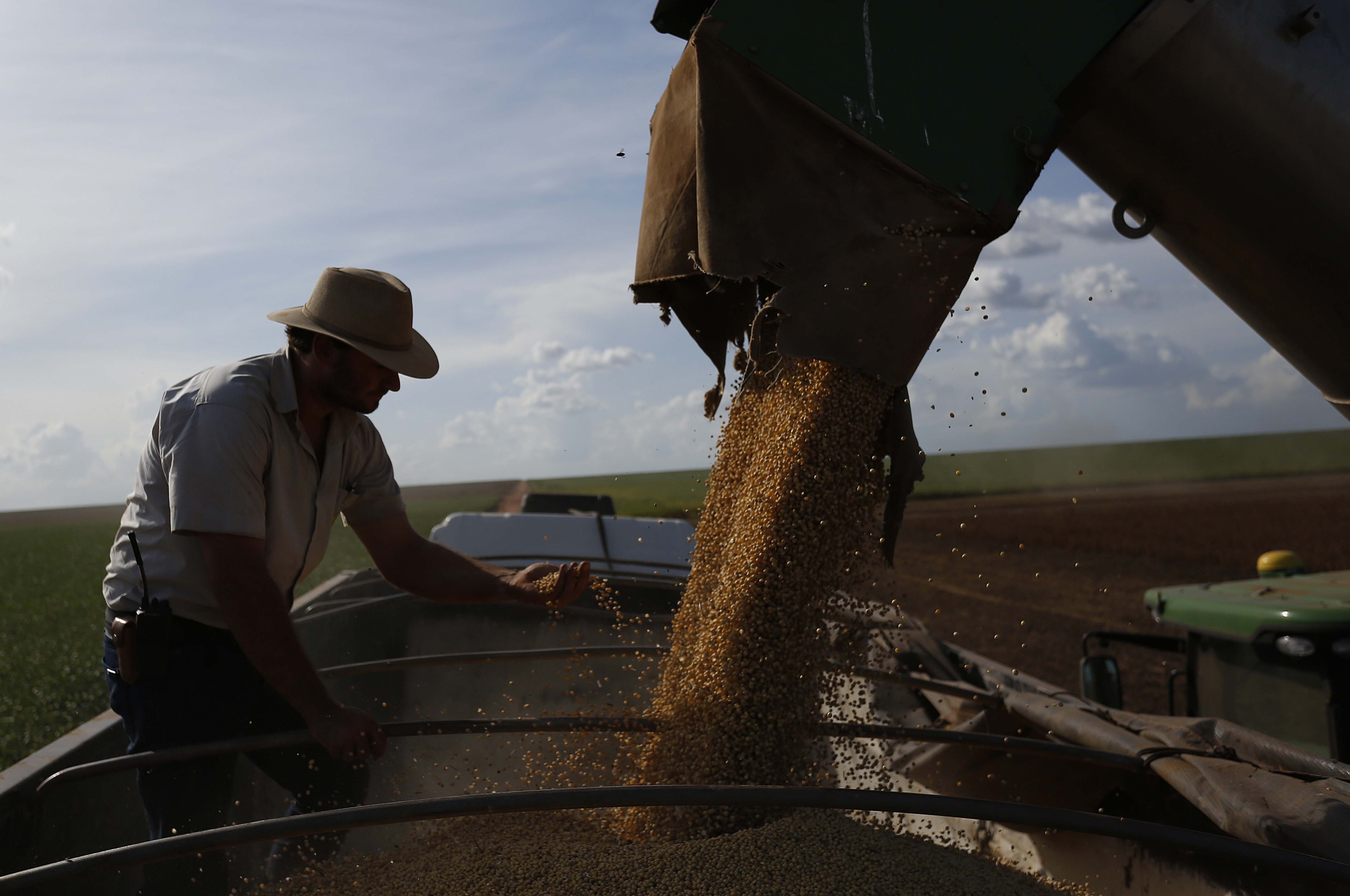 Setor agrícola foi o único que cresceu no primeiro trimestre, impulsionado por uma boa safra. | /Gazeta do Povo