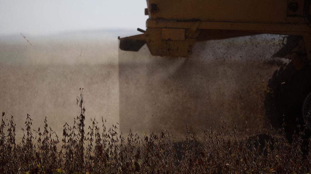 Oleaginosa vale 25% menos que um ano atrás no mercado global, mostra fechamento da Bolsa de Chicago desta sexta-feira. | Foto: Jonathan Campos/gazeta Do Povo
