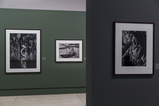 | Marcelo Andrade/Gazeta do Povo