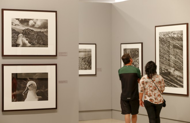 | Hugo Harada/Gazeta do Povo