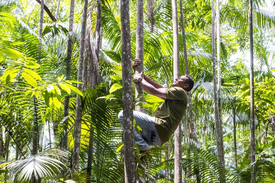 Povos tradicionais receberão royalties pela exploração dos seus conhecimentos da biodiversidade. | Henry Milléo/Gazeta do Povo