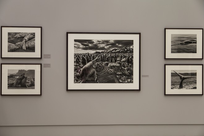 | Marcelo Andrade/Gazeta do Povo