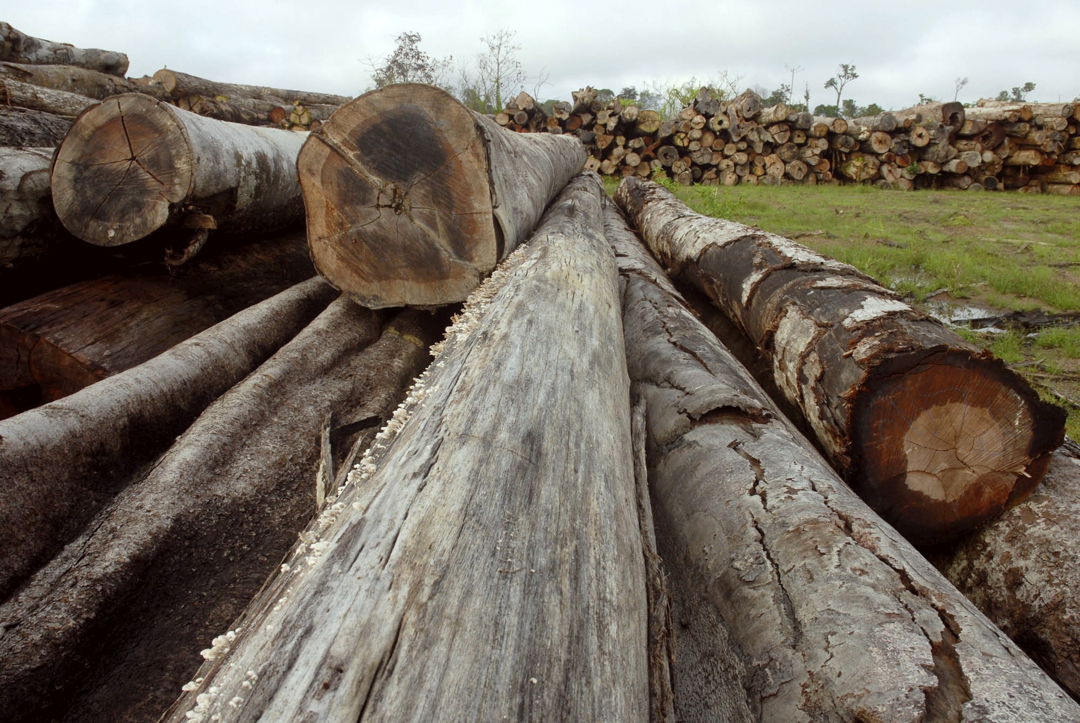 | Paulo Santos/Reuters/Arquivo