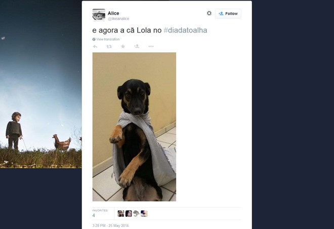 Os animais de estimação também estão com suas toalhas no #diadatoalha | 