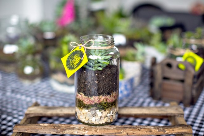 6. Pronto! Depois de plantar, o vaso está pronto. O tamanho das camadas pode variar de acordo com o tipo de vaso e a decoração que você quiser fazer. Para cuidar da plantinha, basta regar a cada 15 dias |