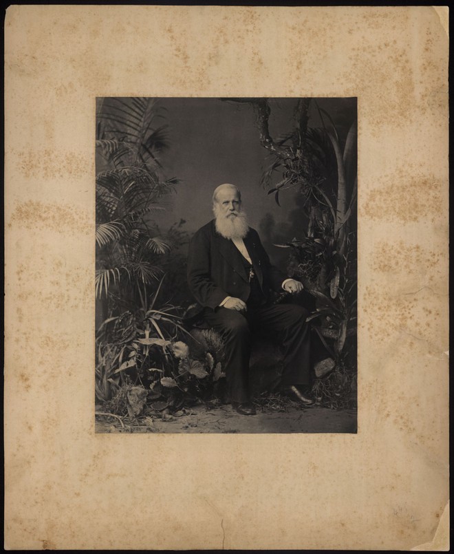 Pedro II, imperador do Brasil. 1883 | Joaquim Insley Pacheco.Acervo Brasiliana Fotográfica