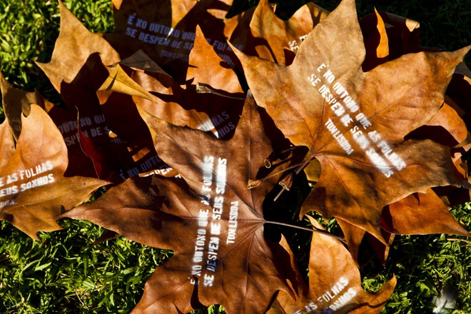  | Antonio Costa/Gazeta do Povo