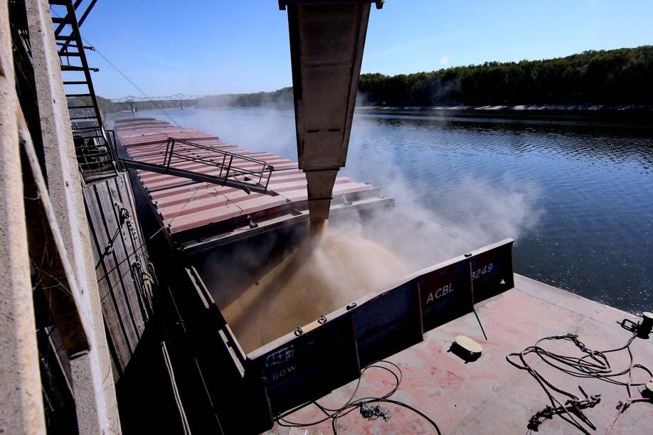 Os preços do milho mais apertados em relação aos custos nos Estados Unidos faz os produtores apostarem na soja. Clima favorável permite ao país ultrapassar 100 milhões de toneladas por duas safras seguidas. | Arquivo / Gazeta Do Povo