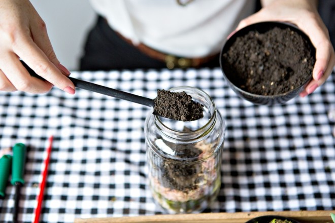 3. Terra Aposte em várias camadas de musgo e pedras, para deixar o vaso mais bonito, mas guarde um espaço para colocar um punhado de terra |