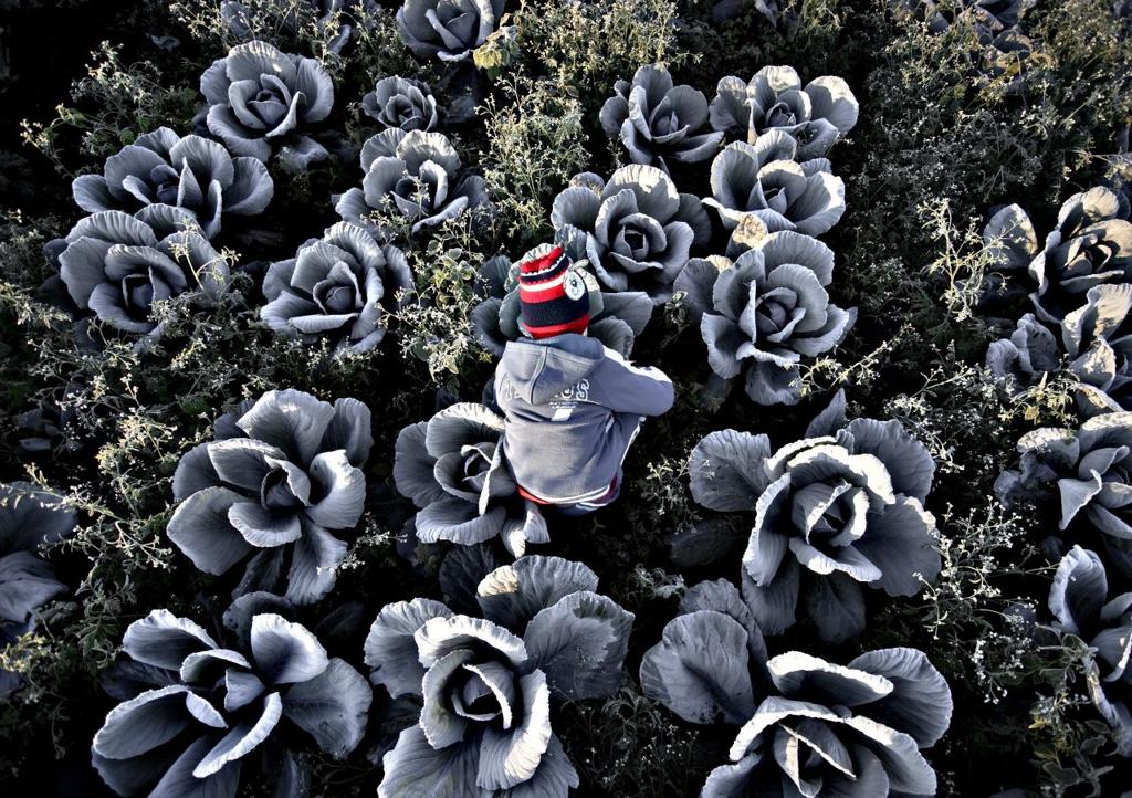 Foto vencedora da 10ª edição do prêmio New Holland de fotojornalismo | Sergio Ranalli/Divulgação New Holland