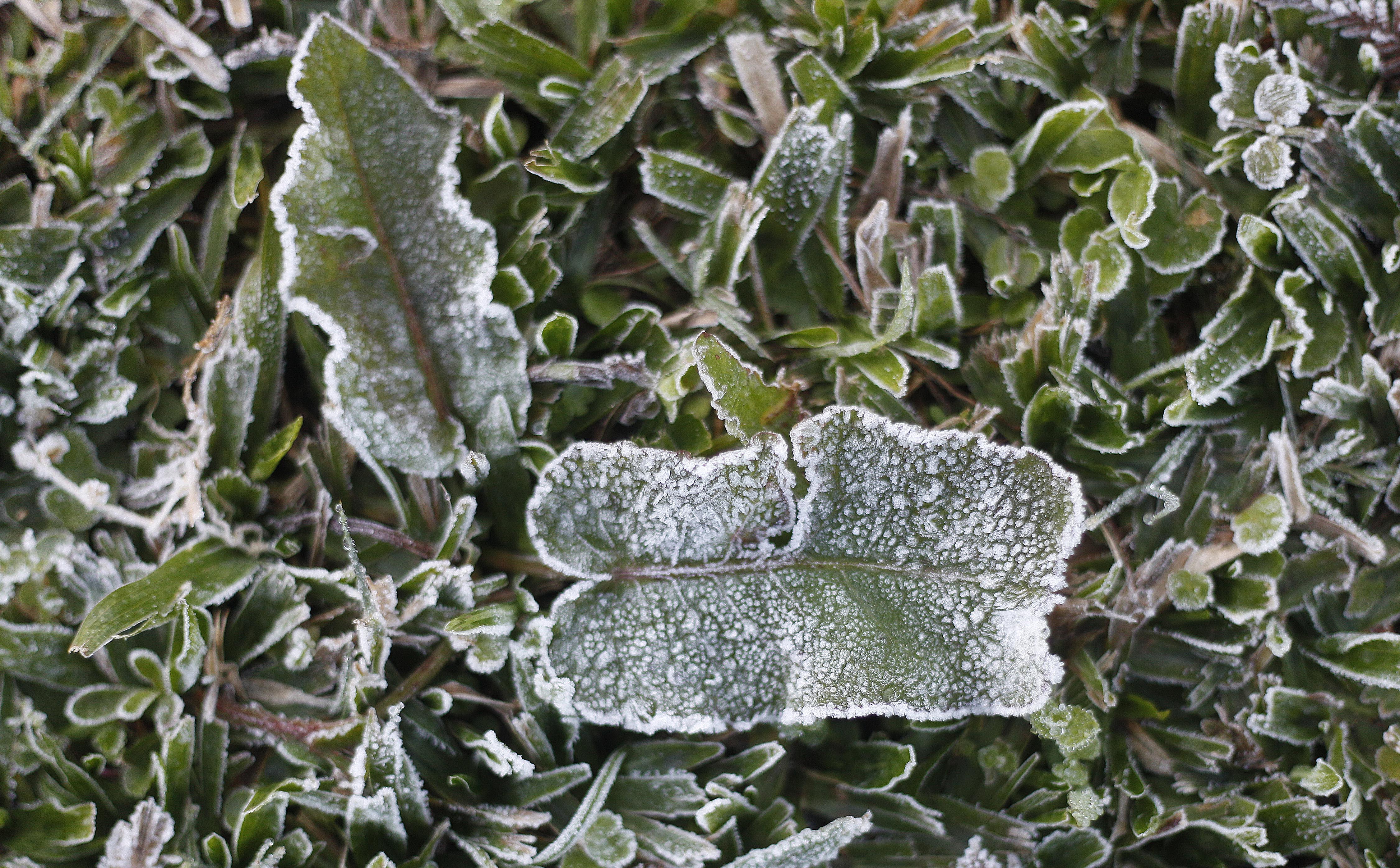 | Jonathan Campos/Gazeta do Povo