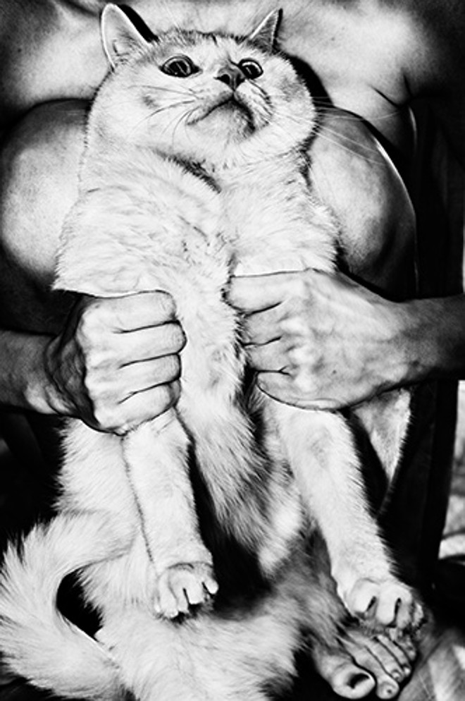 | Jacob Aue Sobol//Divulgação